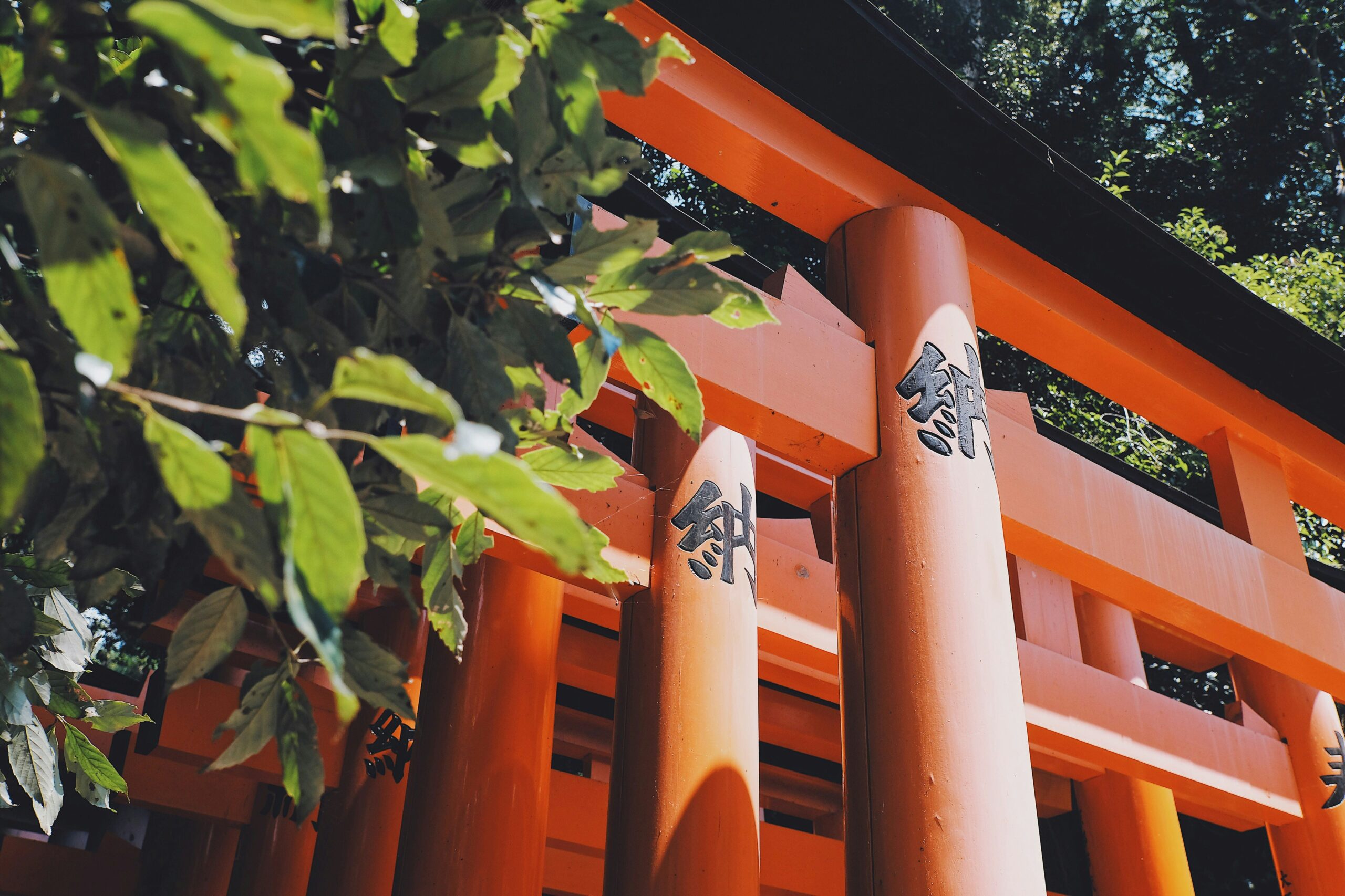 神社にお参りしてはいけない日は？